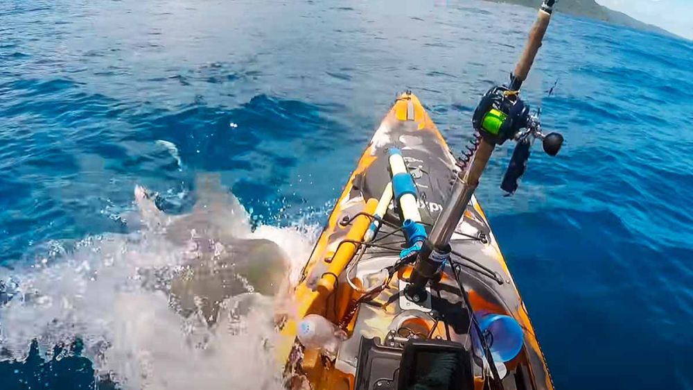 El inesperado e impresionante ataque de un tiburón a un pescador
